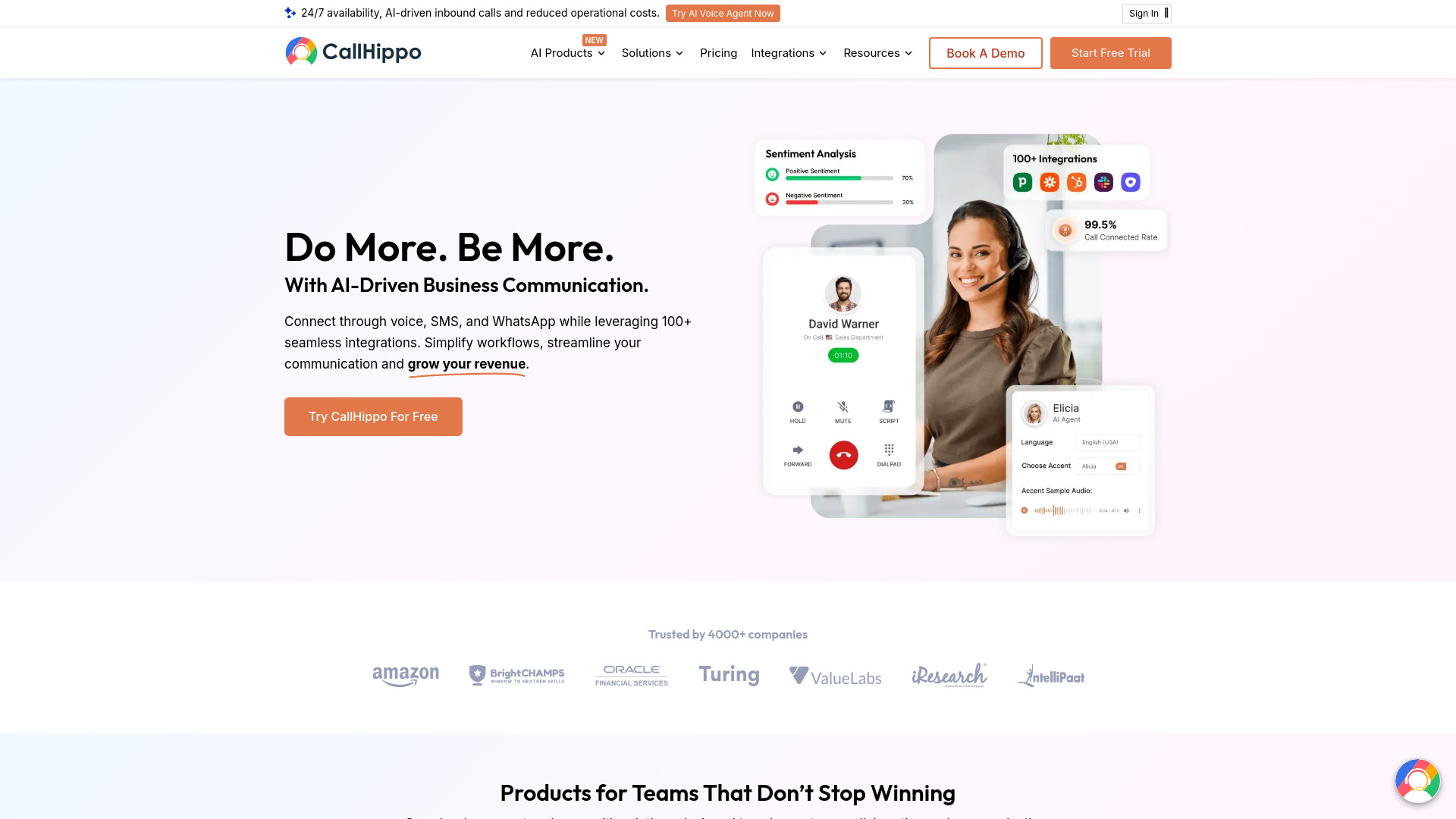 CallHippo banner
