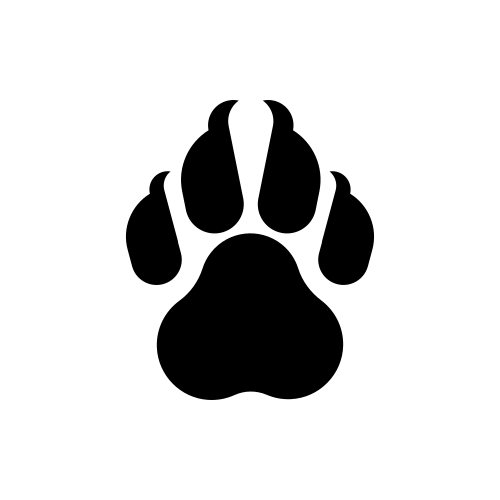 ClawCloud Run AI: GitOps, Docker & Kubernetes Deployment | AiTing AI