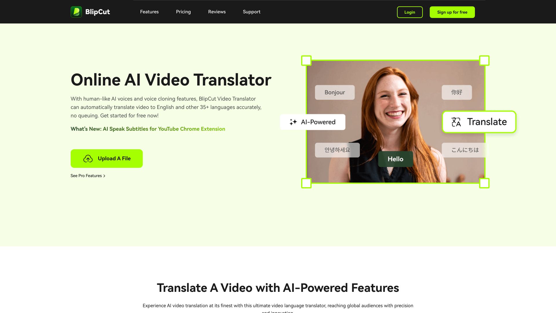 BlipCut AI Video Translator banner